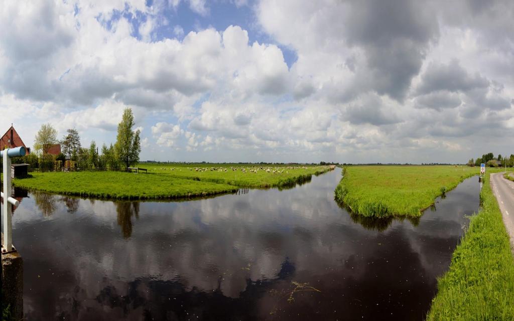 Amsterdam Farmland room 6
